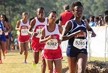 portfolio 2 cols image